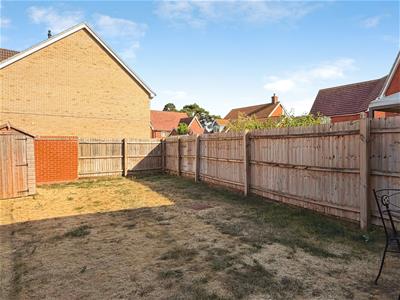 Picture 16
